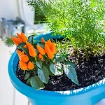 Ema 2br Apt. In Old Town Centre * Ζαντάρ