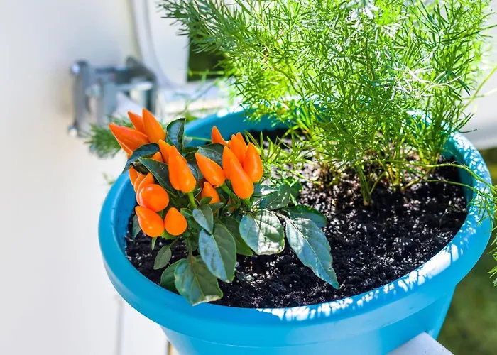 Ema 2br Apt. In Old Town Centre * Задар